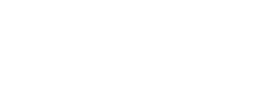 BudRace